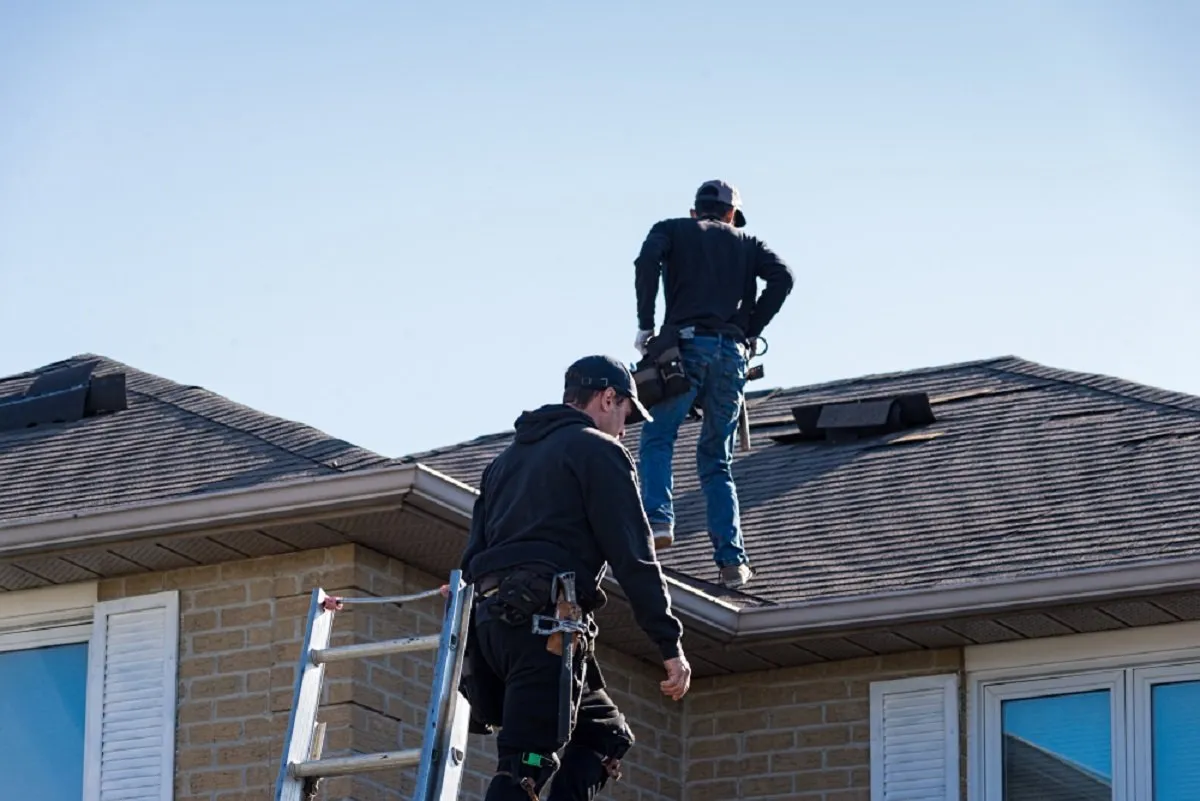 Top House Maintenance Priorities Every UK Homeowner Should Know